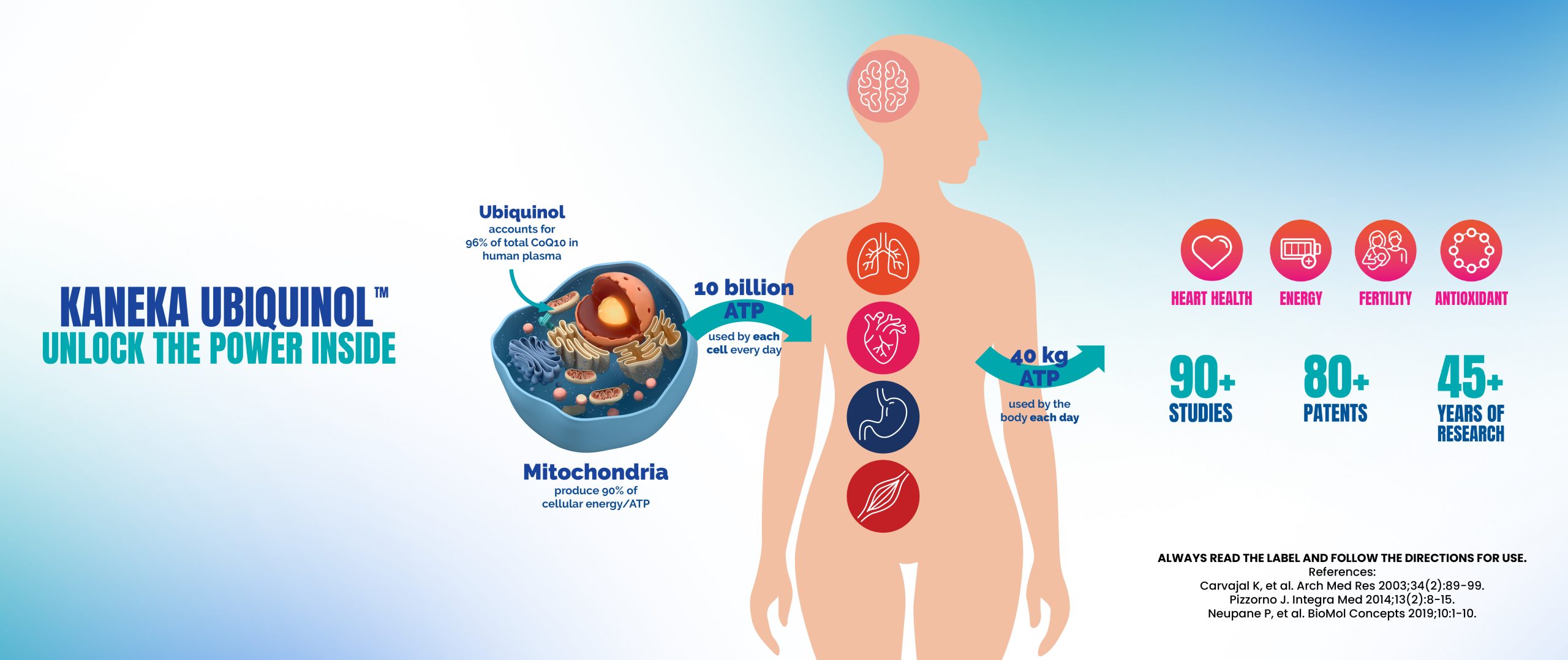 Ubiquinol for ATP production in the body